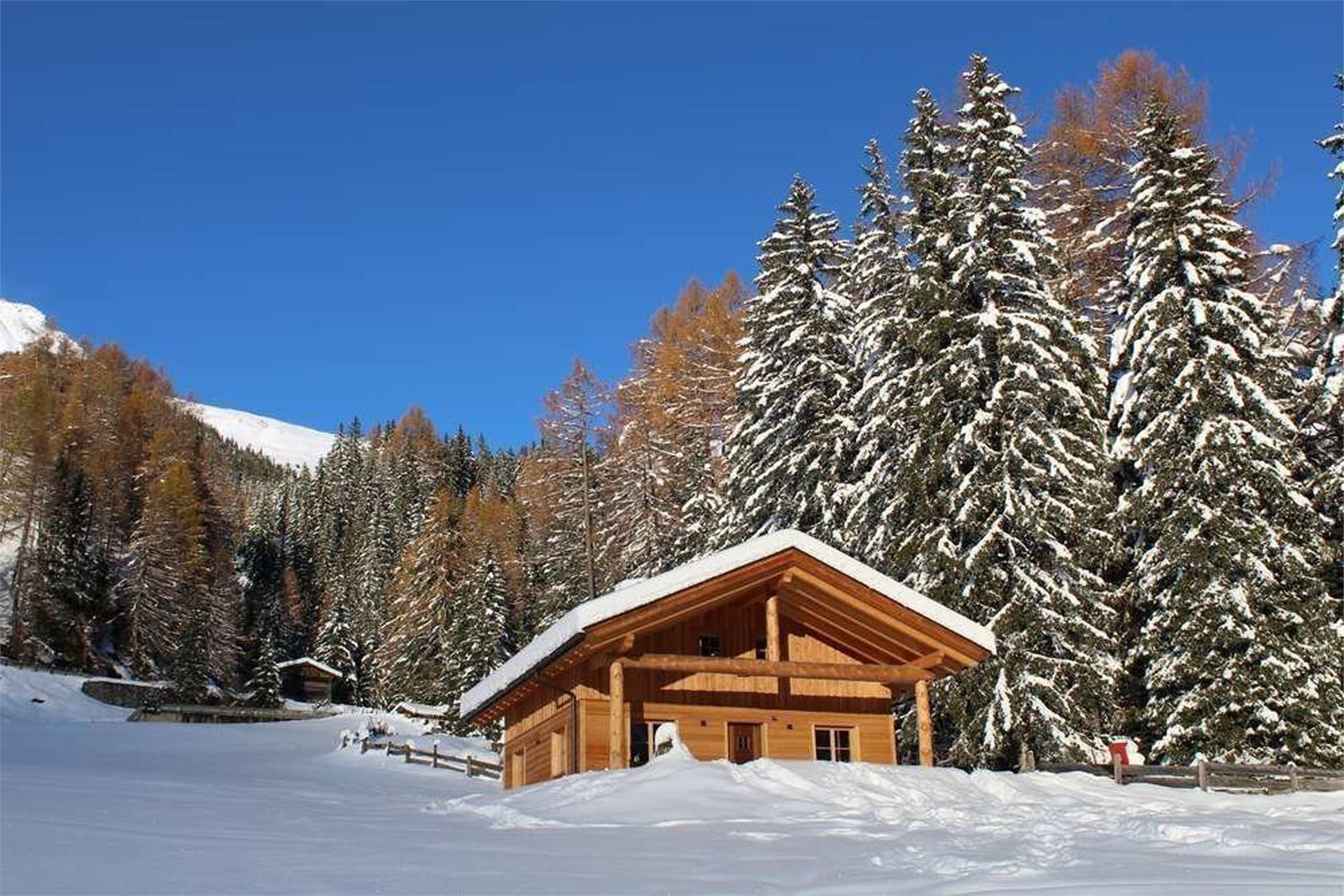 Almchalet Sagstallhof Pfitsch/Val di Vizze 1 suedtirol.info