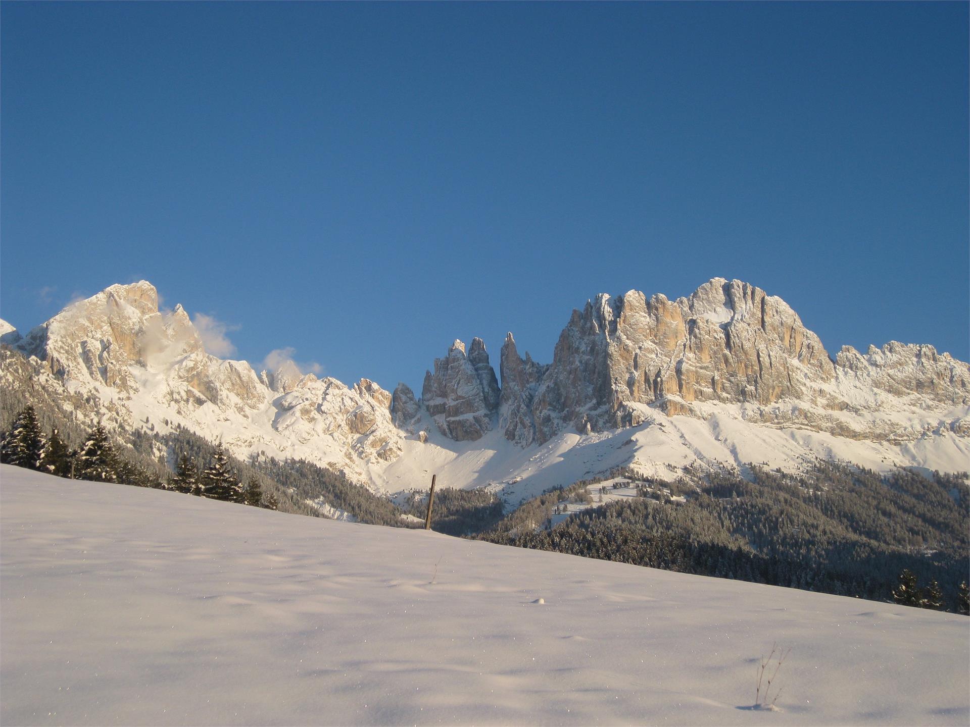 App. Gartl Tiers am Rosengarten/Tires al Catinaccio 10 suedtirol.info