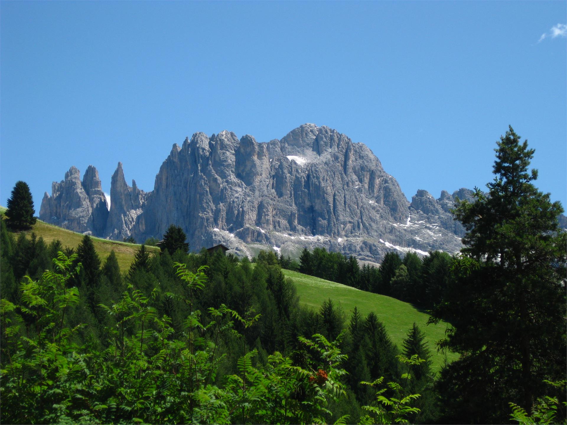 App. Gartl Tiers am Rosengarten/Tires al Catinaccio 2 suedtirol.info