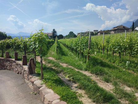 Ansitz Kuensegg Eppan an der Weinstaße/Appiano sulla Strada del Vino 11 suedtirol.info