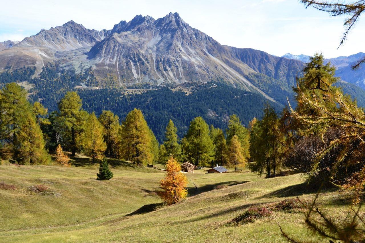 Haus Prenner Graun im Vinschgau/Curon Venosta 5 suedtirol.info