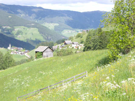 Apartments Maso Soröa Hof - Agriturismo San Vigilio 5 suedtirol.info