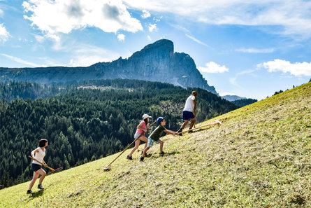 Apartments Fornellahof La Majun San Martin 30 suedtirol.info