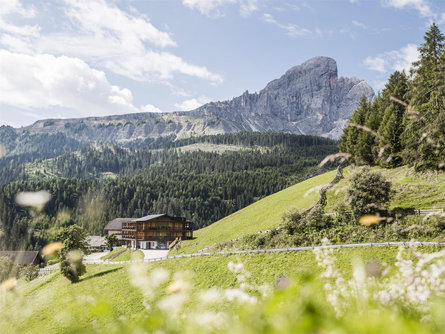 Apartments Fornellahof La Majun San Martin 1 suedtirol.info