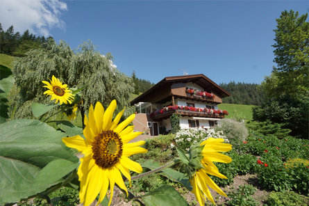 Apartments Fiung - Farm holiday San Martin /San Martino 4 suedtirol.info