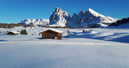 Apartments Cësa Vernel Urtijëi/Ortisei 24 suedtirol.info