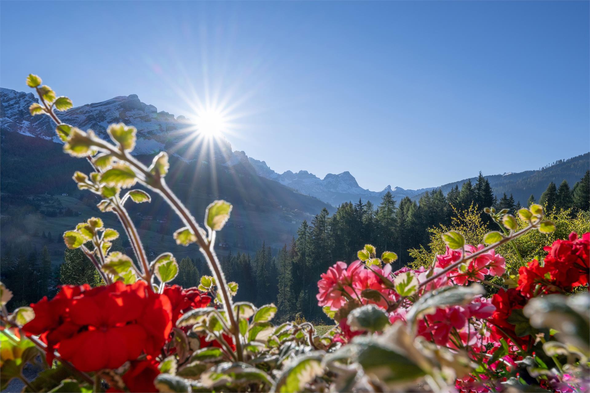 App. Ciasa Fornata Badia 4 suedtirol.info