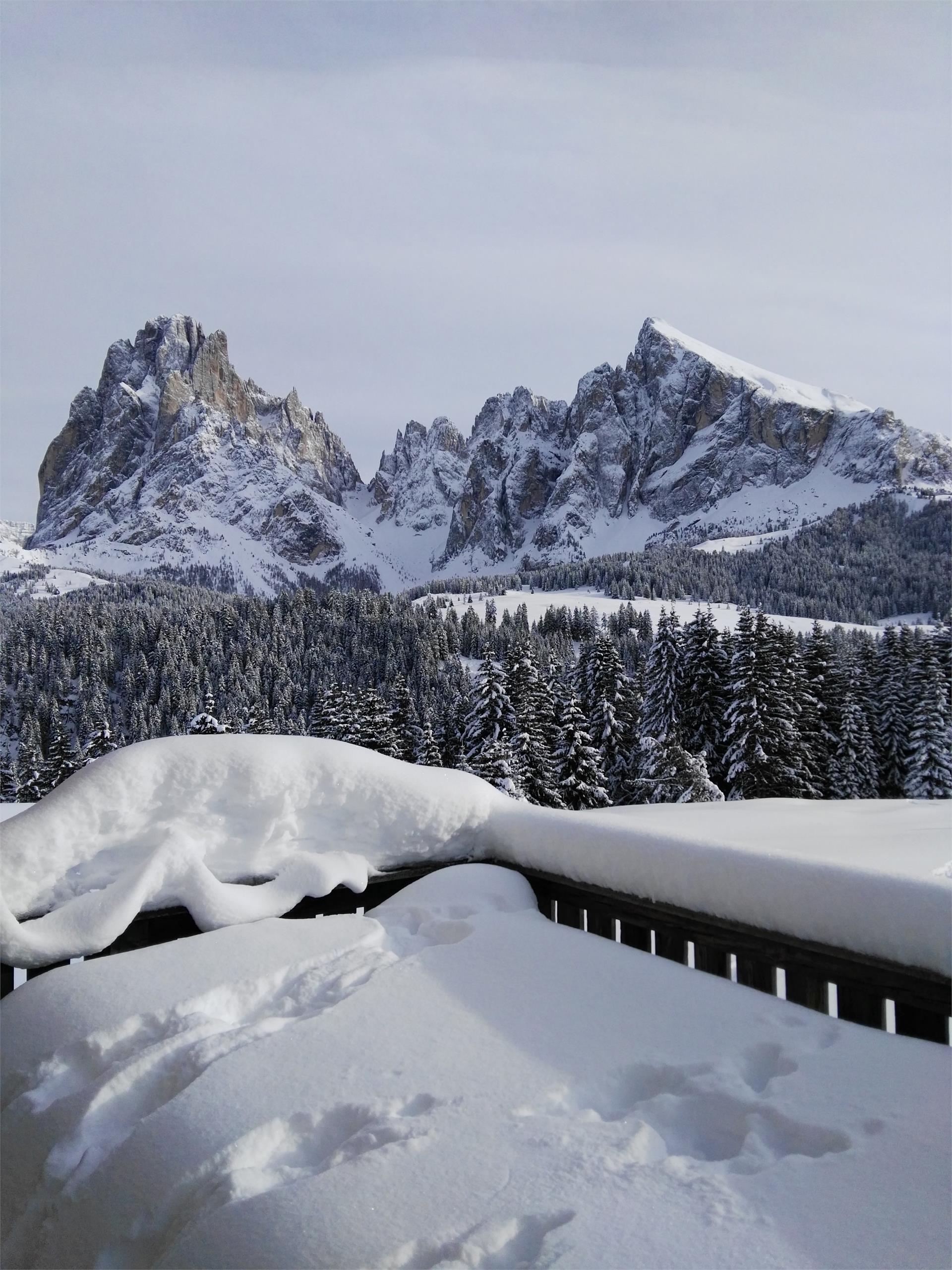 Alpine Chalet Aurora Dolomites Lajen 14 suedtirol.info