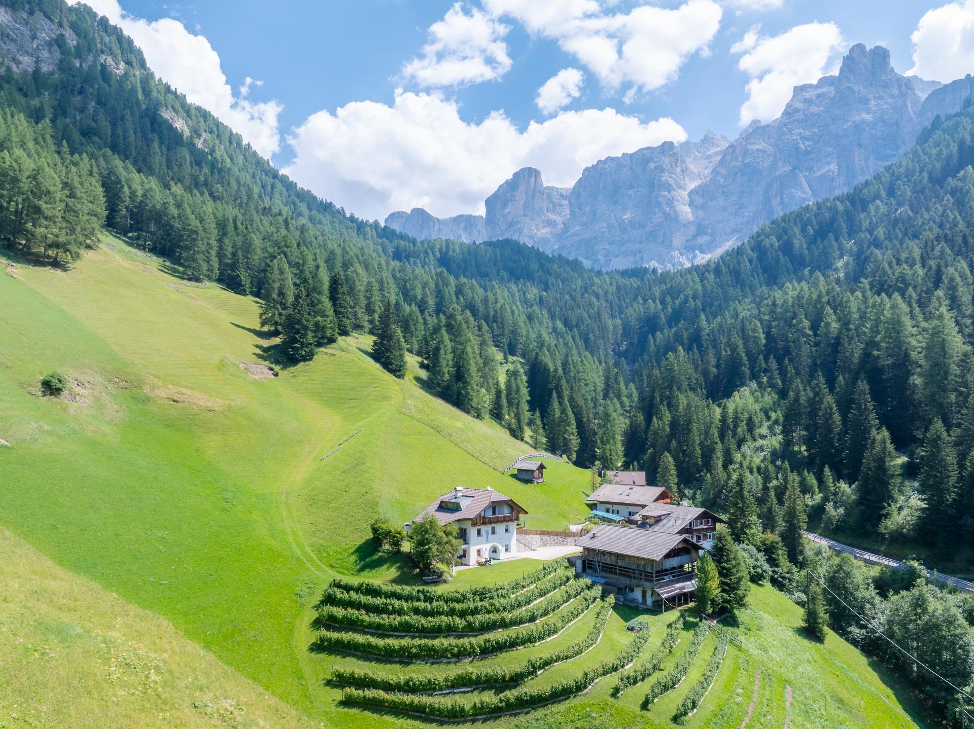 Apartments Angiul ti crëps - Bauernhof Wolkenstein 5 suedtirol.info