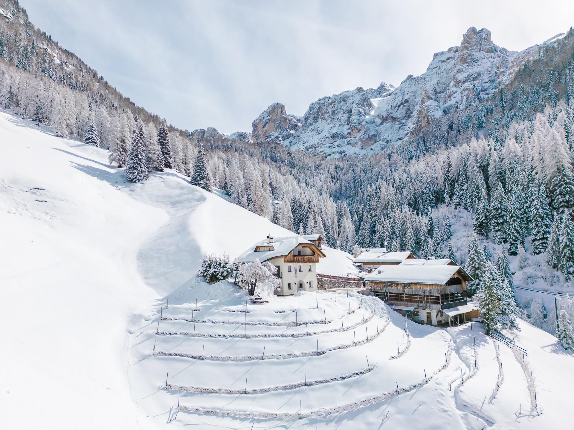 Apartments Angiul ti crëps - Bauernhof Wolkenstein 12 suedtirol.info