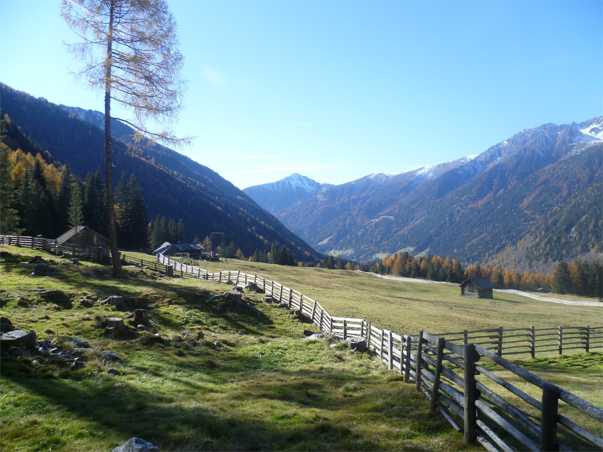 Appartment Hirberhof Rasen-Antholz 25 suedtirol.info