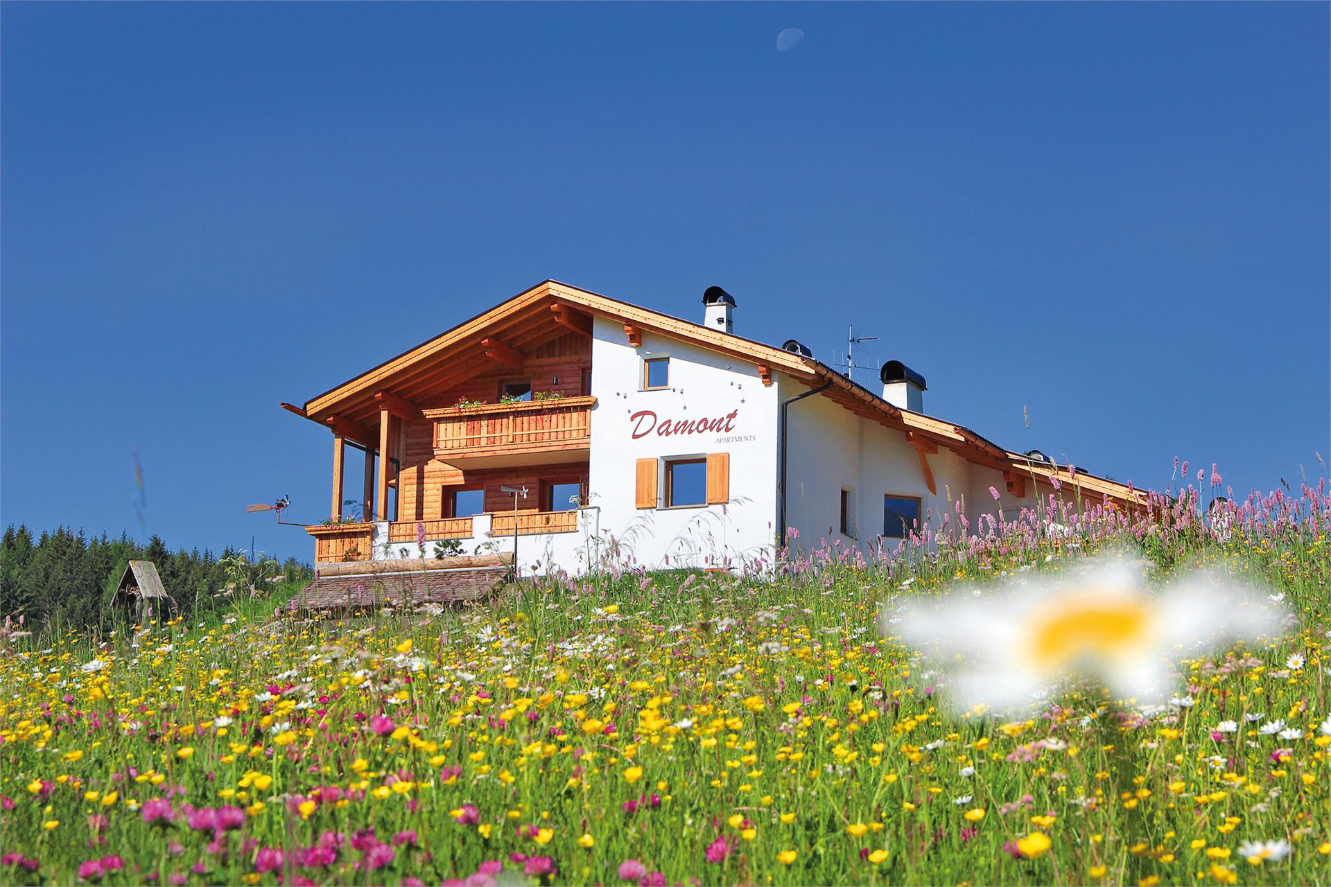 Apartments Damont S.Crestina Gherdëina/Santa Cristina Val Gardana 2 suedtirol.info