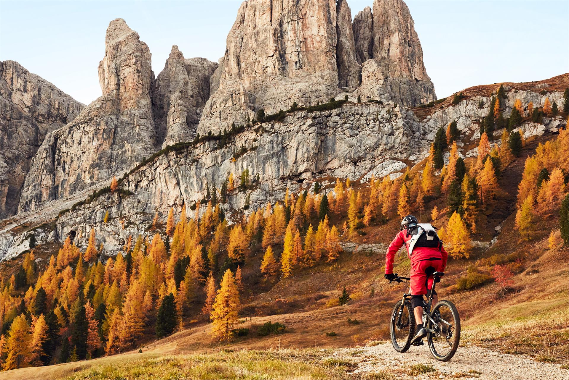 Apartments Damont S.Crestina Gherdëina/Santa Cristina Val Gardana 4 suedtirol.info