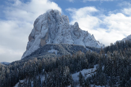 Apartments Bergheim Santa Cristina Val Gardena 6 suedtirol.info