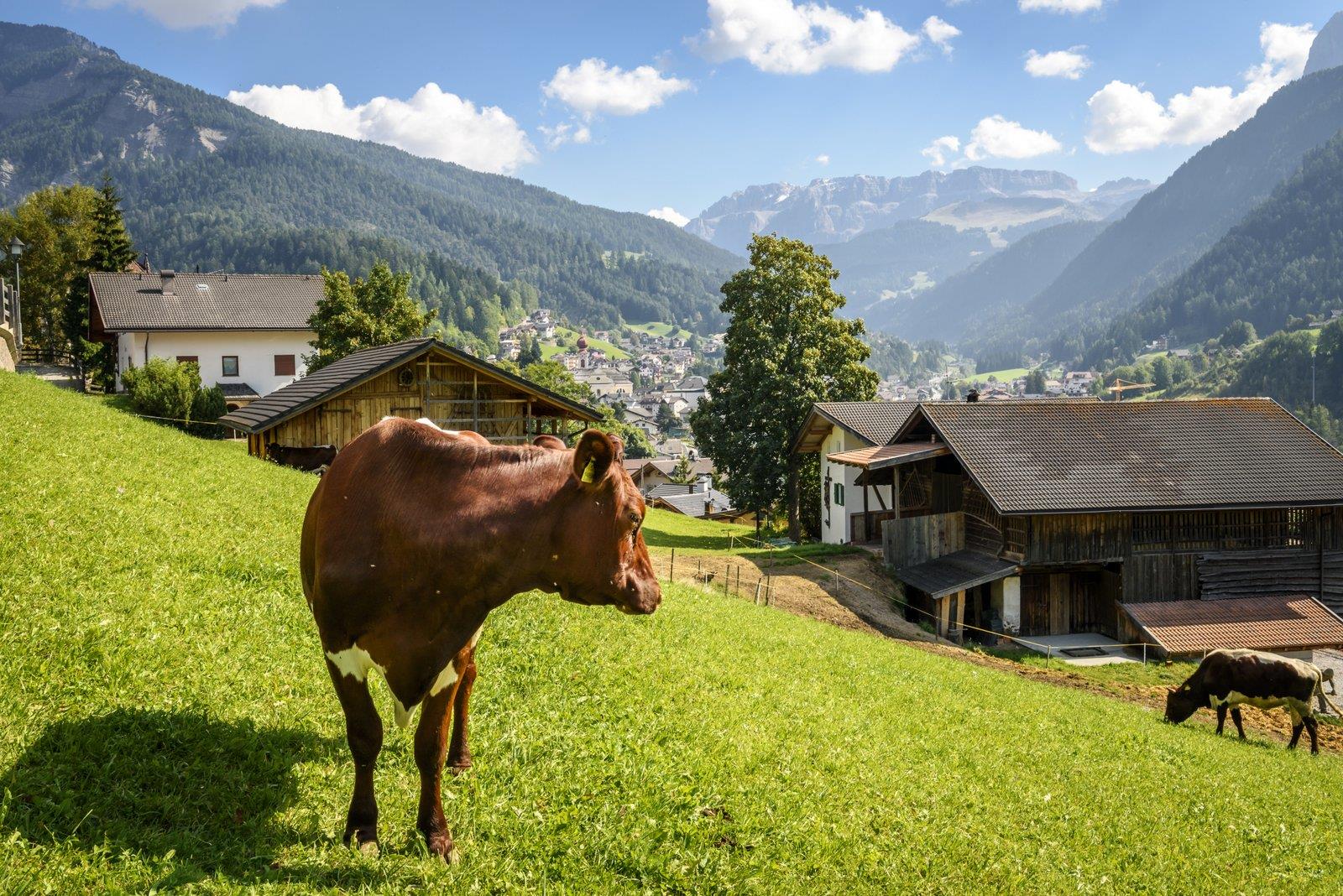 Apartments Cialianhof Urtijëi/Ortisei 27 suedtirol.info