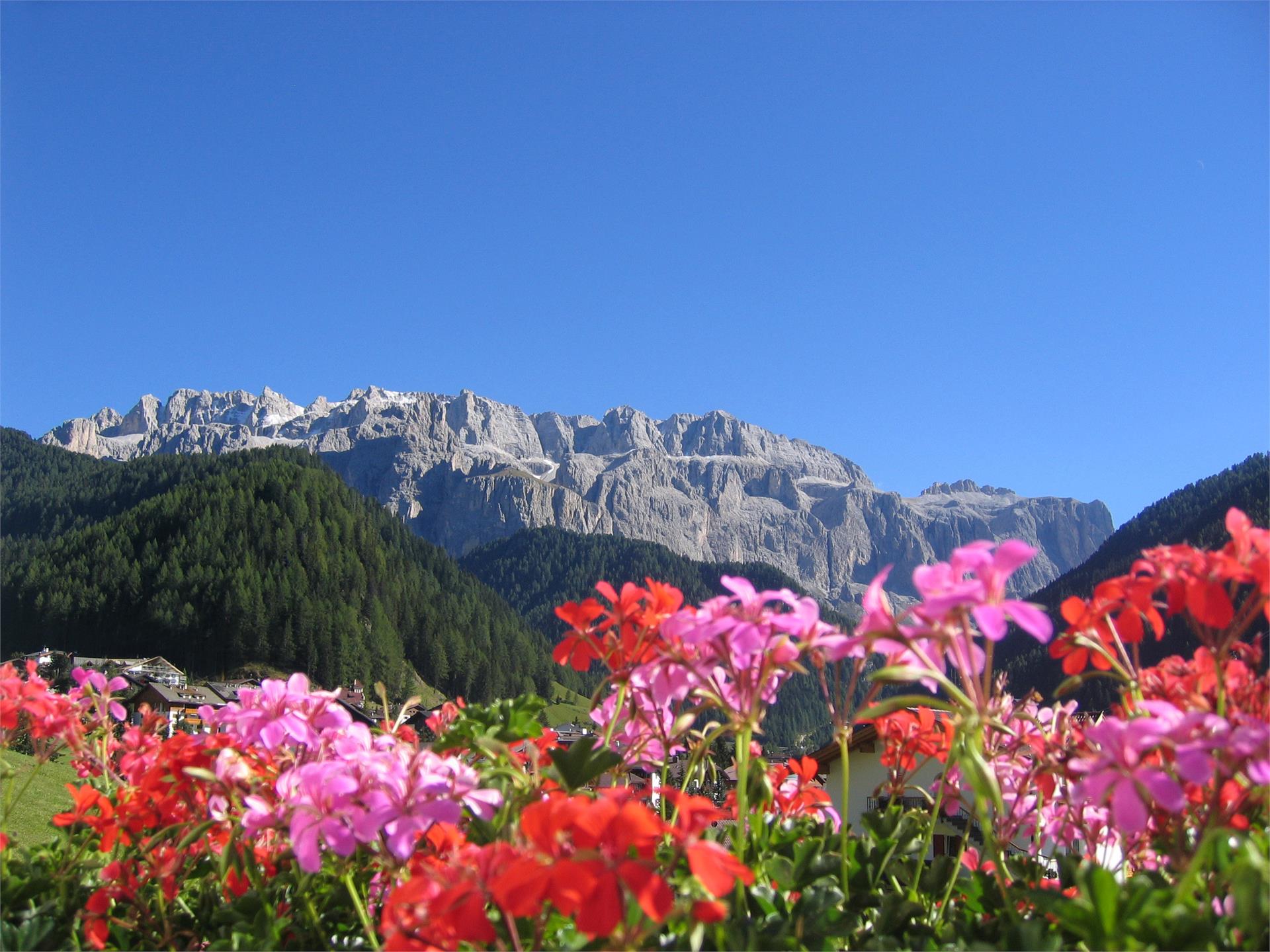 Apartments Wurdengeja - Johanna Wolkenstein 15 suedtirol.info