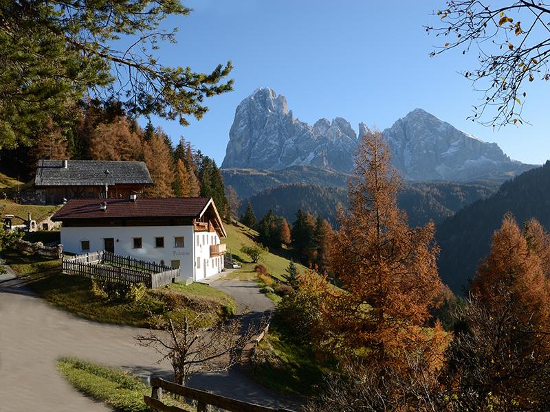 Apartments Pedracia Ortisei 1 suedtirol.info