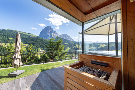 Apartments Luech da Perteut Panorama & Wellness - Farmhouse S.Crestina Gherdëina/Santa Cristina Val Gardana 3 suedtirol.info