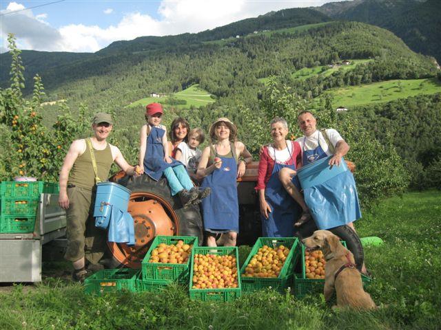 Gurtenhof Tisens/Tesimo 21 suedtirol.info