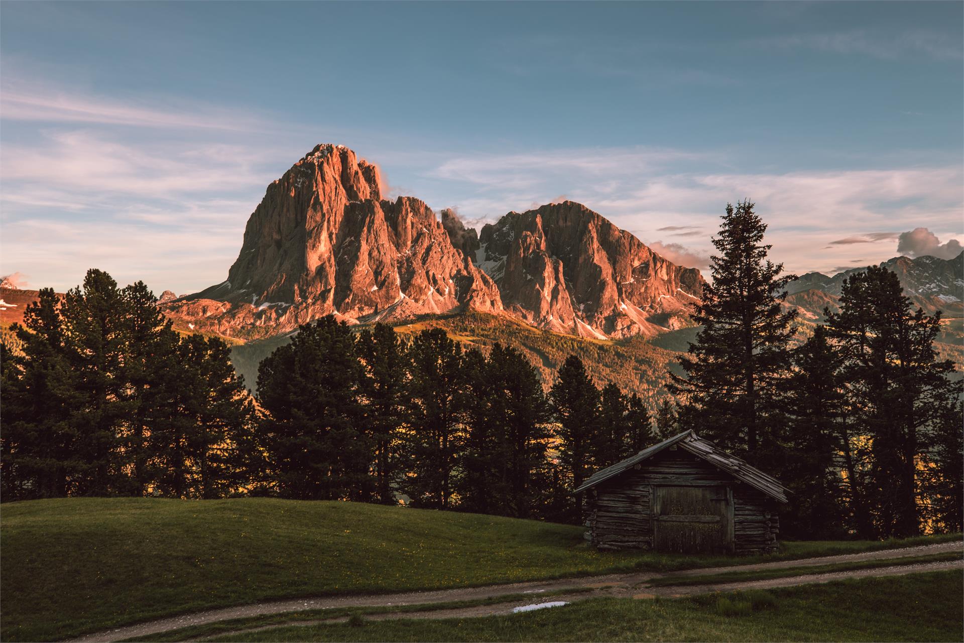 Apartments Arpa Chalet S.Crestina Gherdëina/Santa Cristina Val Gardana 15 suedtirol.info