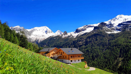 App. Biohof Kofler Campo Tures 2 suedtirol.info