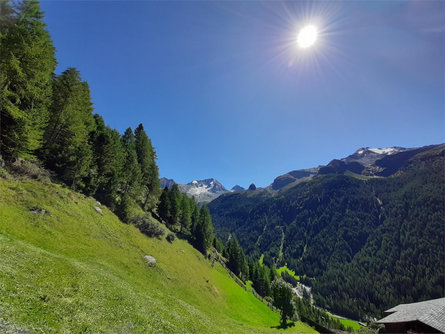 App. Biohof Kofler Sand in Taufers/Campo Tures 6 suedtirol.info