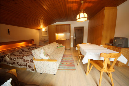 Apartments Oberfreiegg - Farm Holiday San Martin /San Martino 8 suedtirol.info