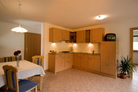 Apartments Tieshof - Farm Holiday San Martin /San Martino 3 suedtirol.info