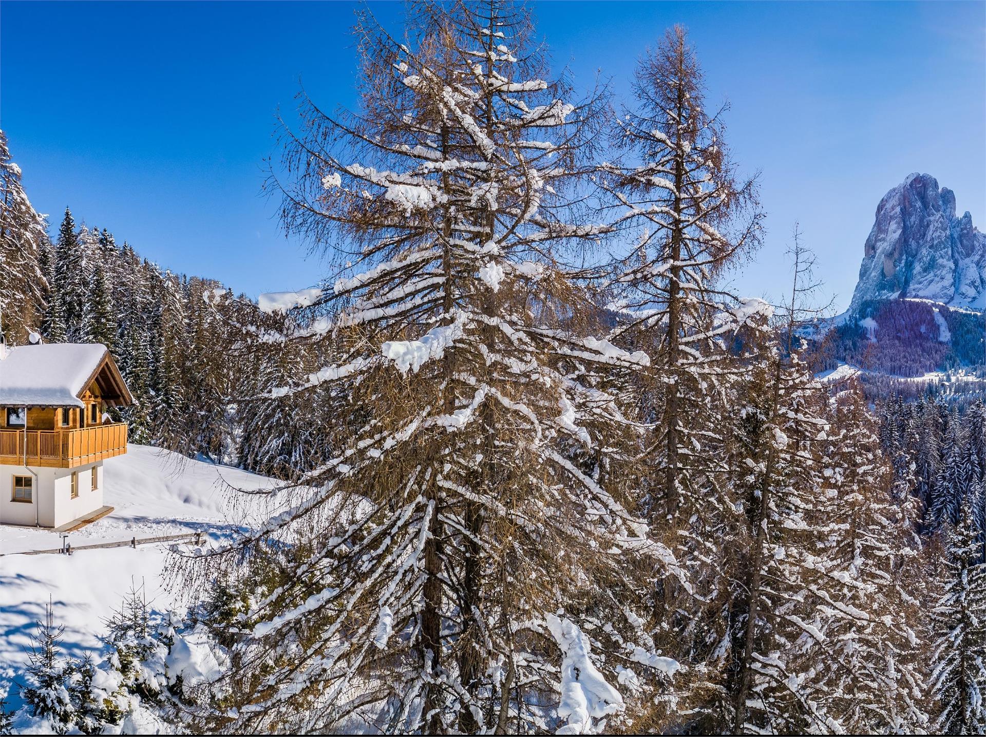 Apartments Chalet Aghel S.Crestina Gherdëina/Santa Cristina Val Gardana 1 suedtirol.info