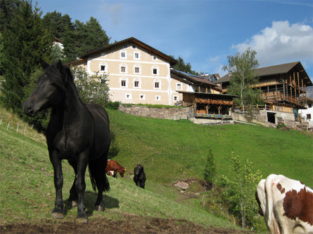 Apartments Pradac Urtijëi/Ortisei 4 suedtirol.info