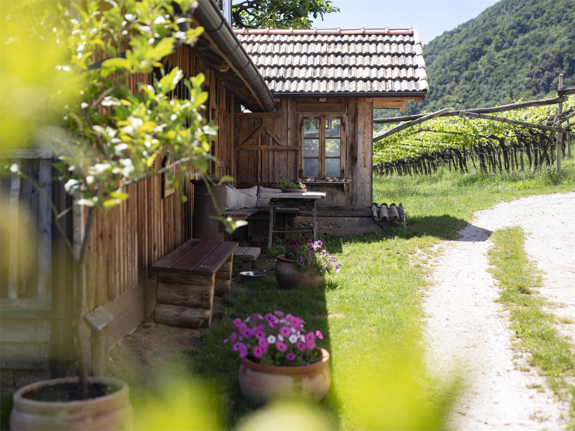 Arzenhof Kaltern an der Weinstraße 8 suedtirol.info