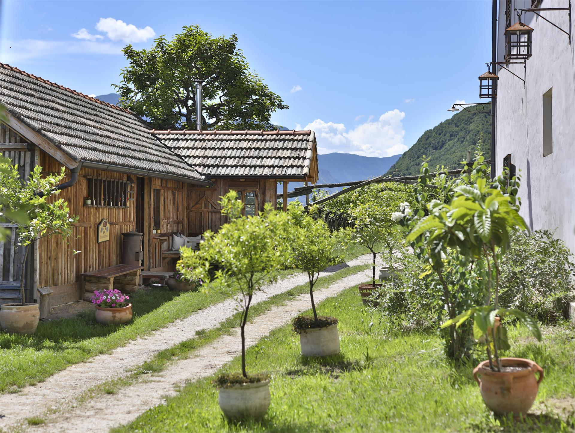 Arzenhof Kaltern an der Weinstraße 9 suedtirol.info