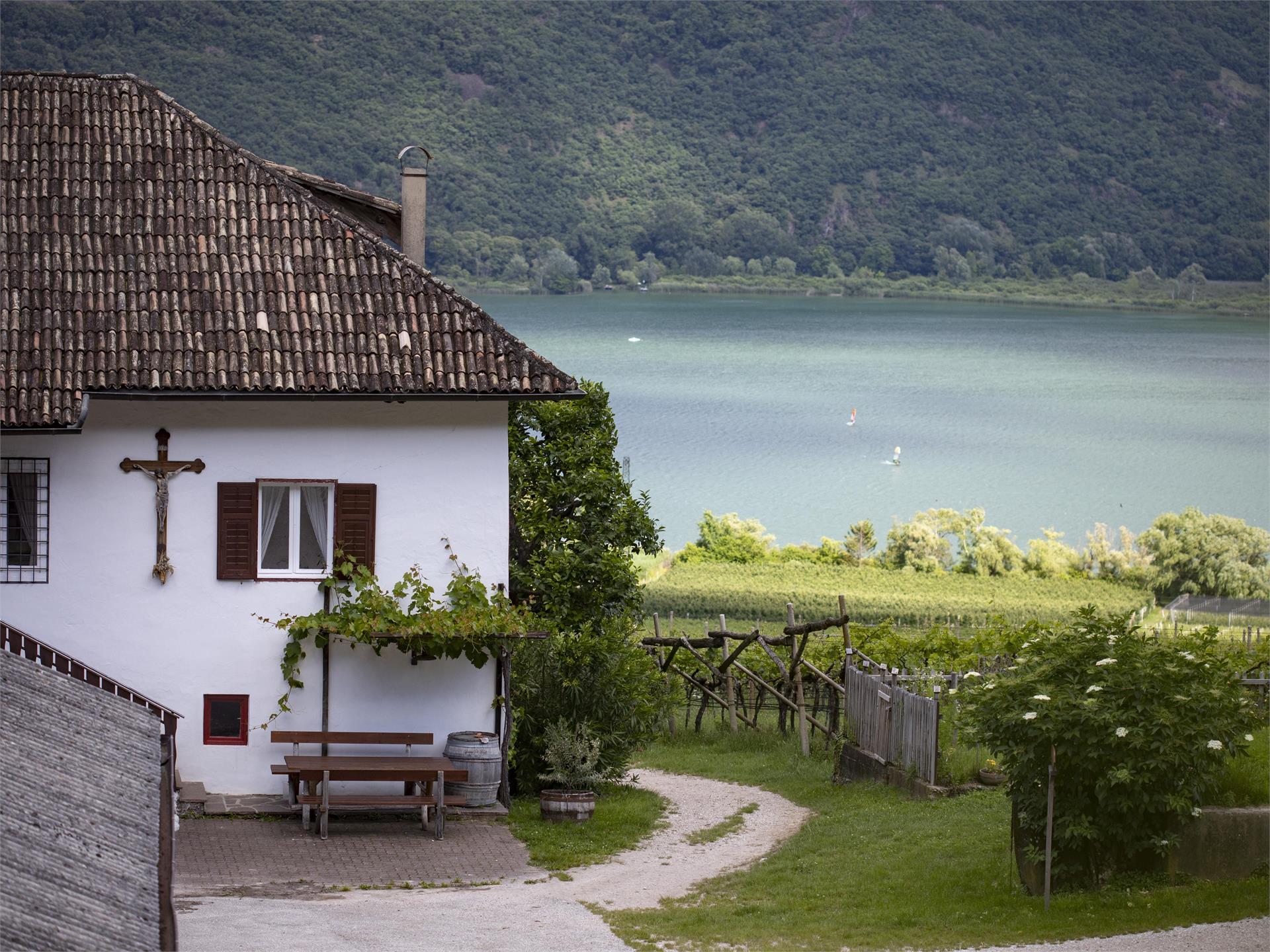 Arzenhof Kaltern an der Weinstraße 1 suedtirol.info