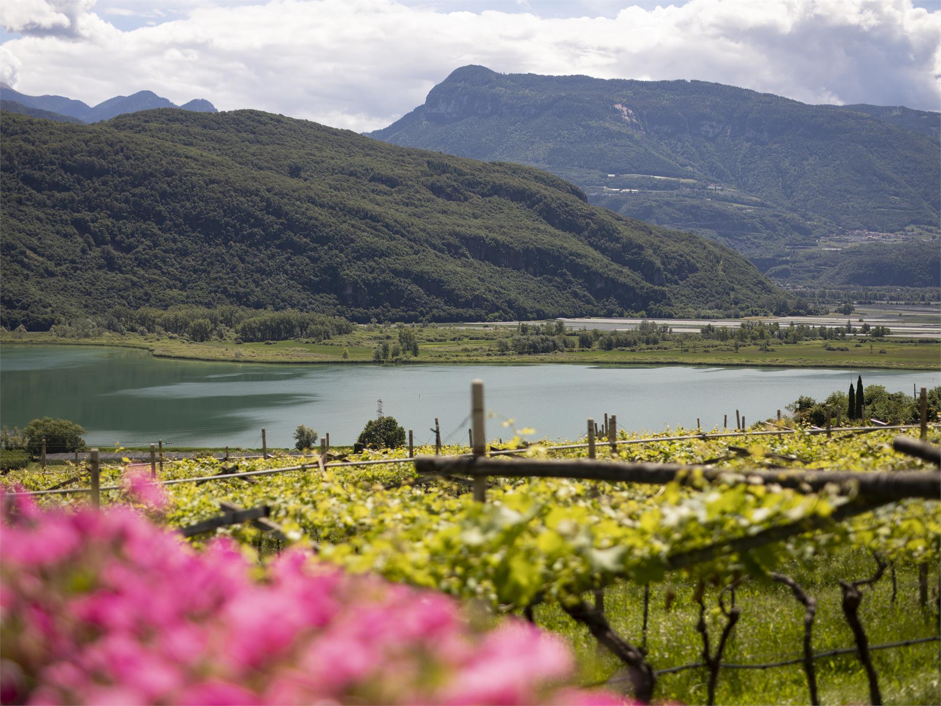 Arzenhof Kaltern an der Weinstraße 7 suedtirol.info