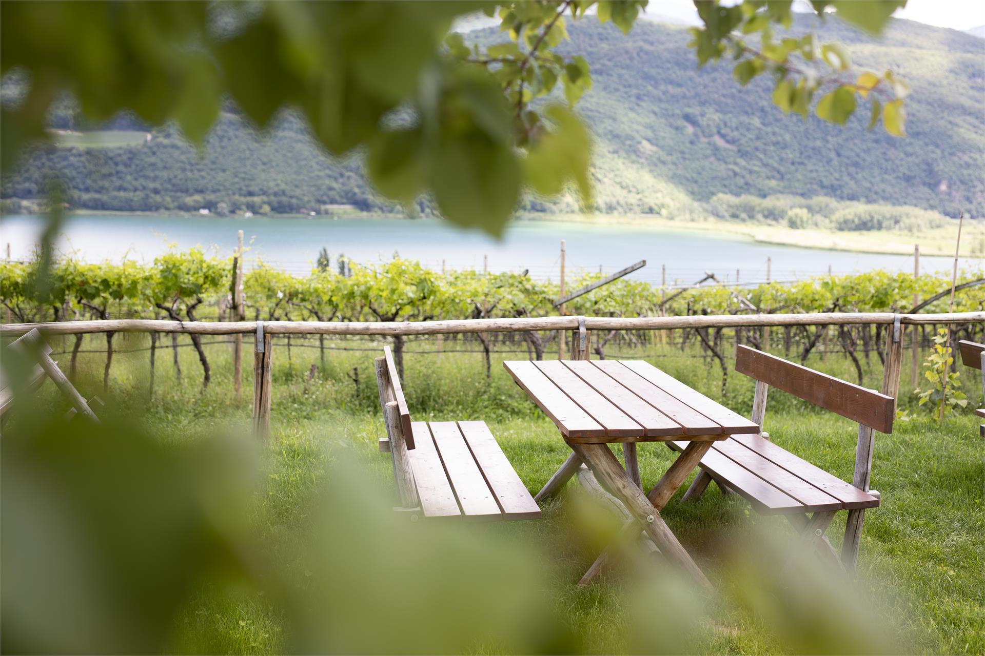 Arzenhof Kaltern an der Weinstraße 13 suedtirol.info