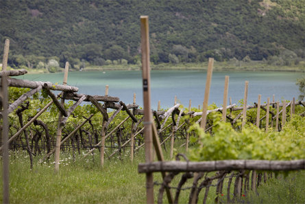 Arzenhof Caldaro sulla Strada del Vino 14 suedtirol.info