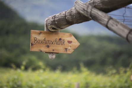 Arzenhof Caldaro sulla Strada del Vino 15 suedtirol.info