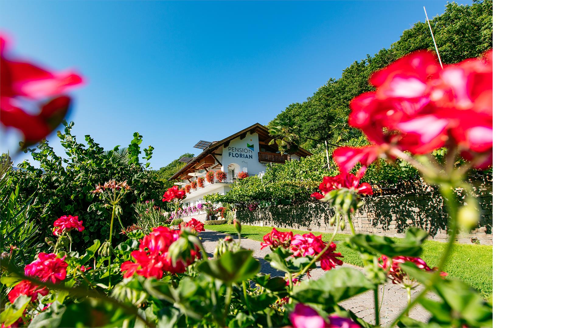 Appartement Florian Kaltern an der Weinstraße/Caldaro sulla Strada del Vino 6 suedtirol.info