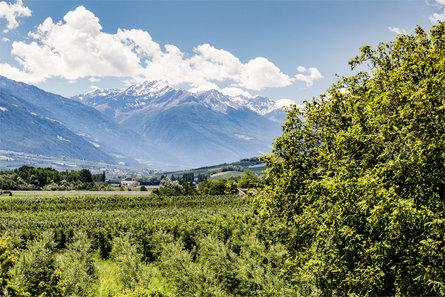 Appartamenti Guntraun Parcines 28 suedtirol.info