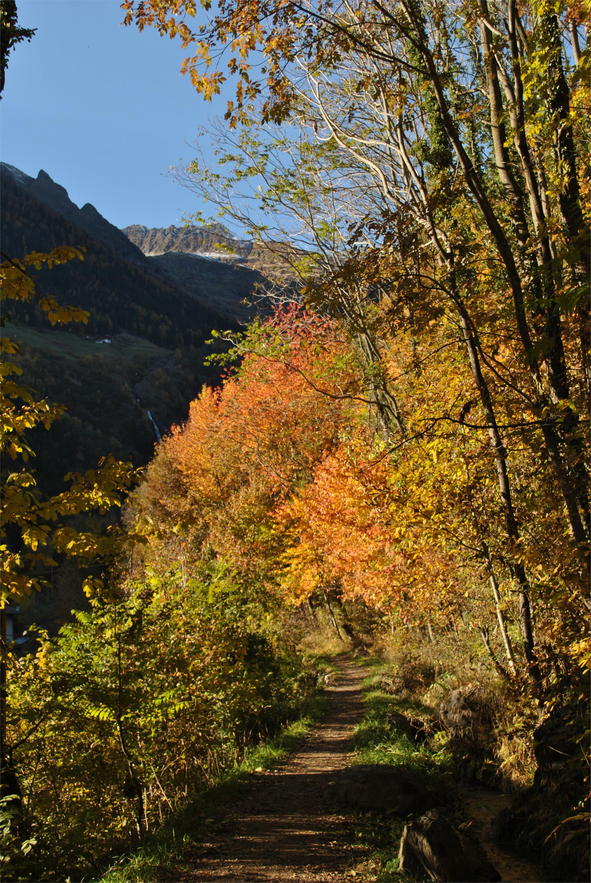 Appartamenti Alpengruß Parcines 17 suedtirol.info