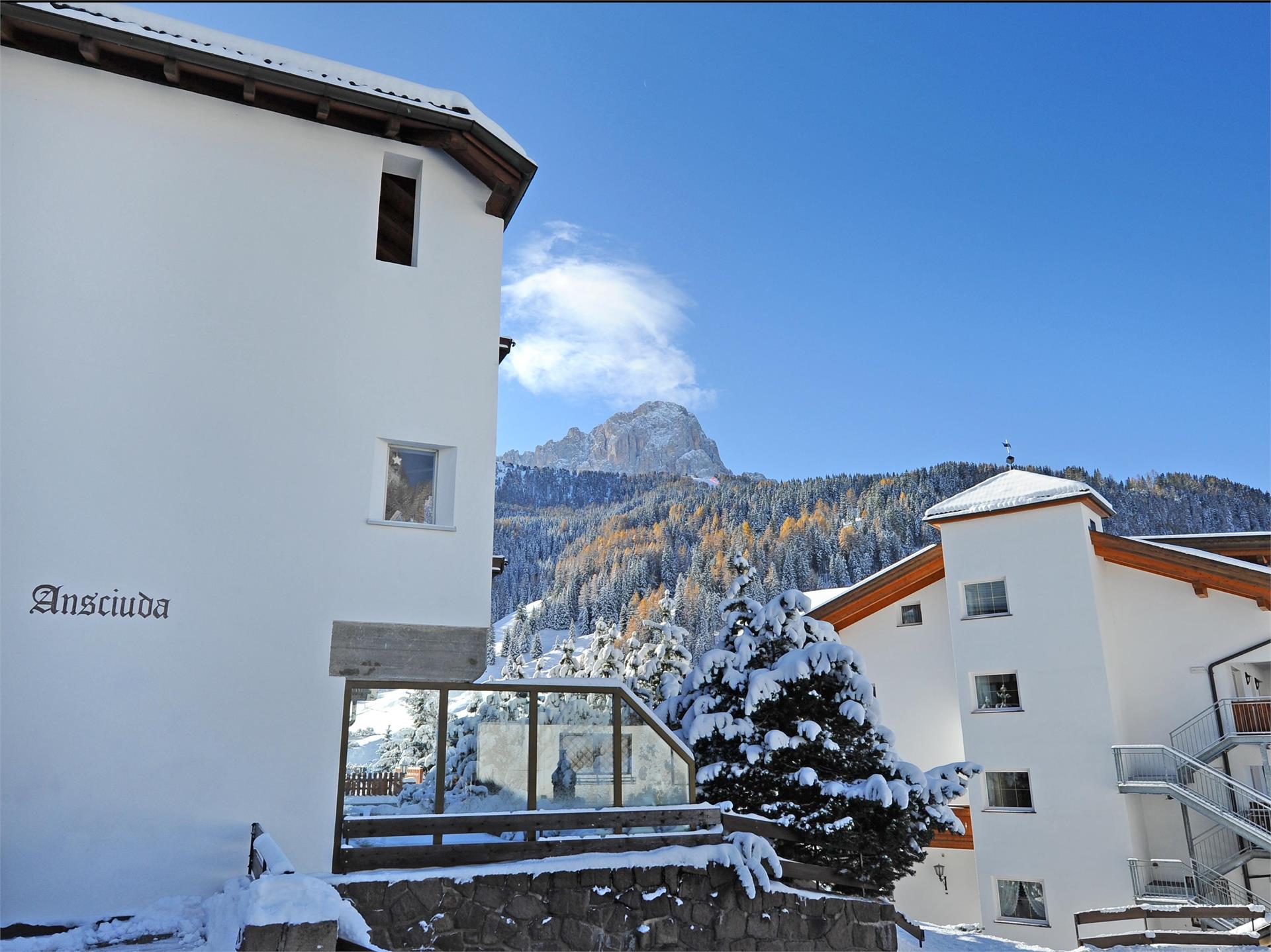 Apartments Nogler Frieda Wolkenstein 1 suedtirol.info