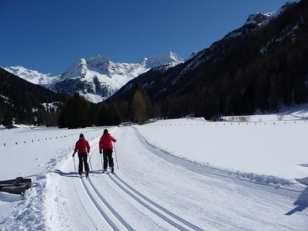 App. Seeber Erika Sand in Taufers/Campo Tures 6 suedtirol.info