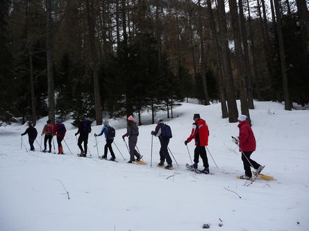 App. Seeber Erika Campo Tures 8 suedtirol.info