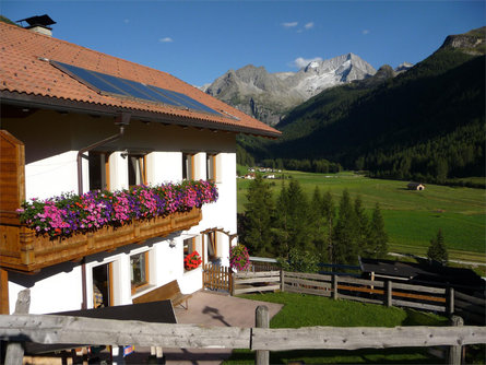 App. Seeber Erika Sand in Taufers/Campo Tures 2 suedtirol.info