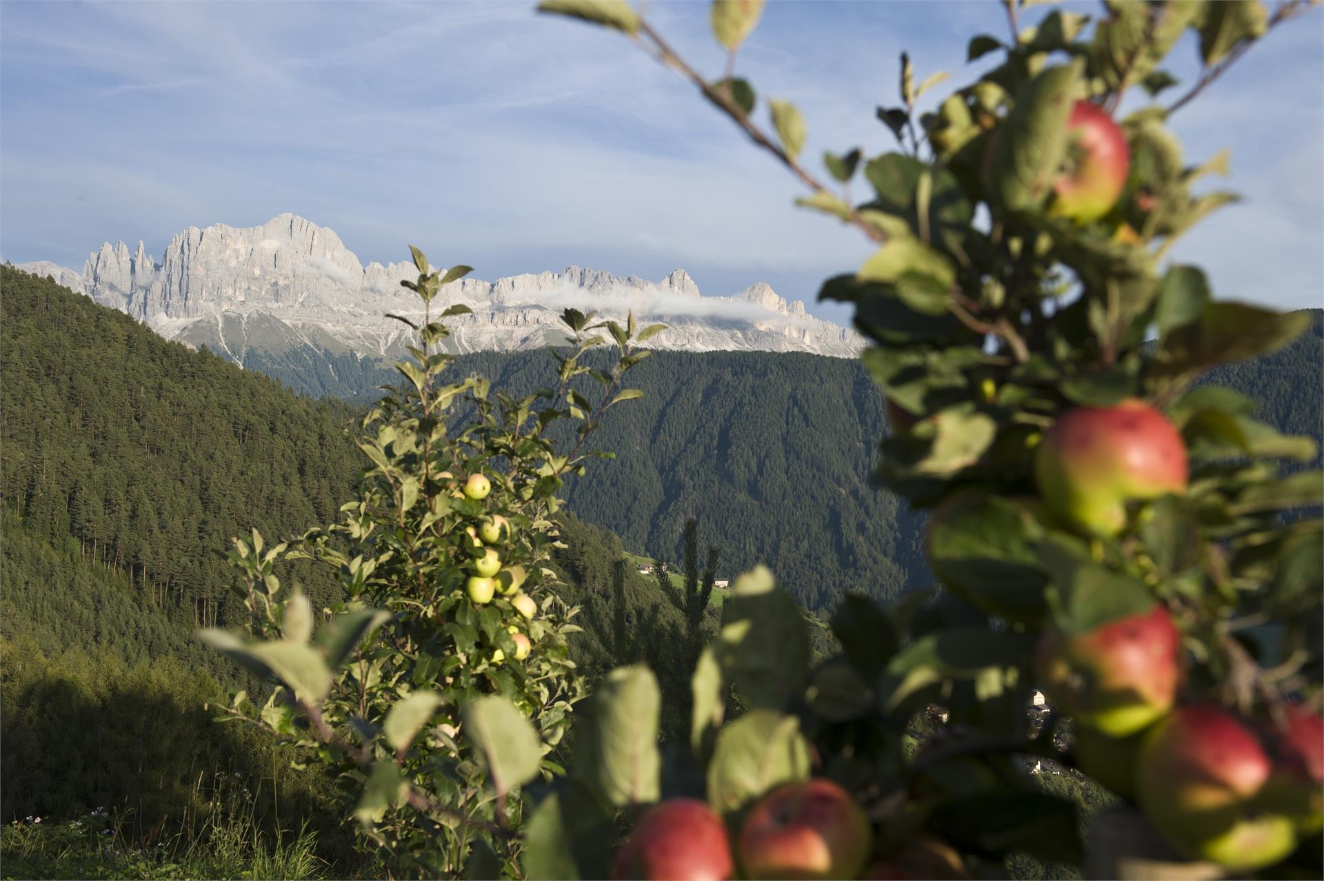 Ansitz Velseck Hotel-Residence Tiers am Rosengarten 21 suedtirol.info