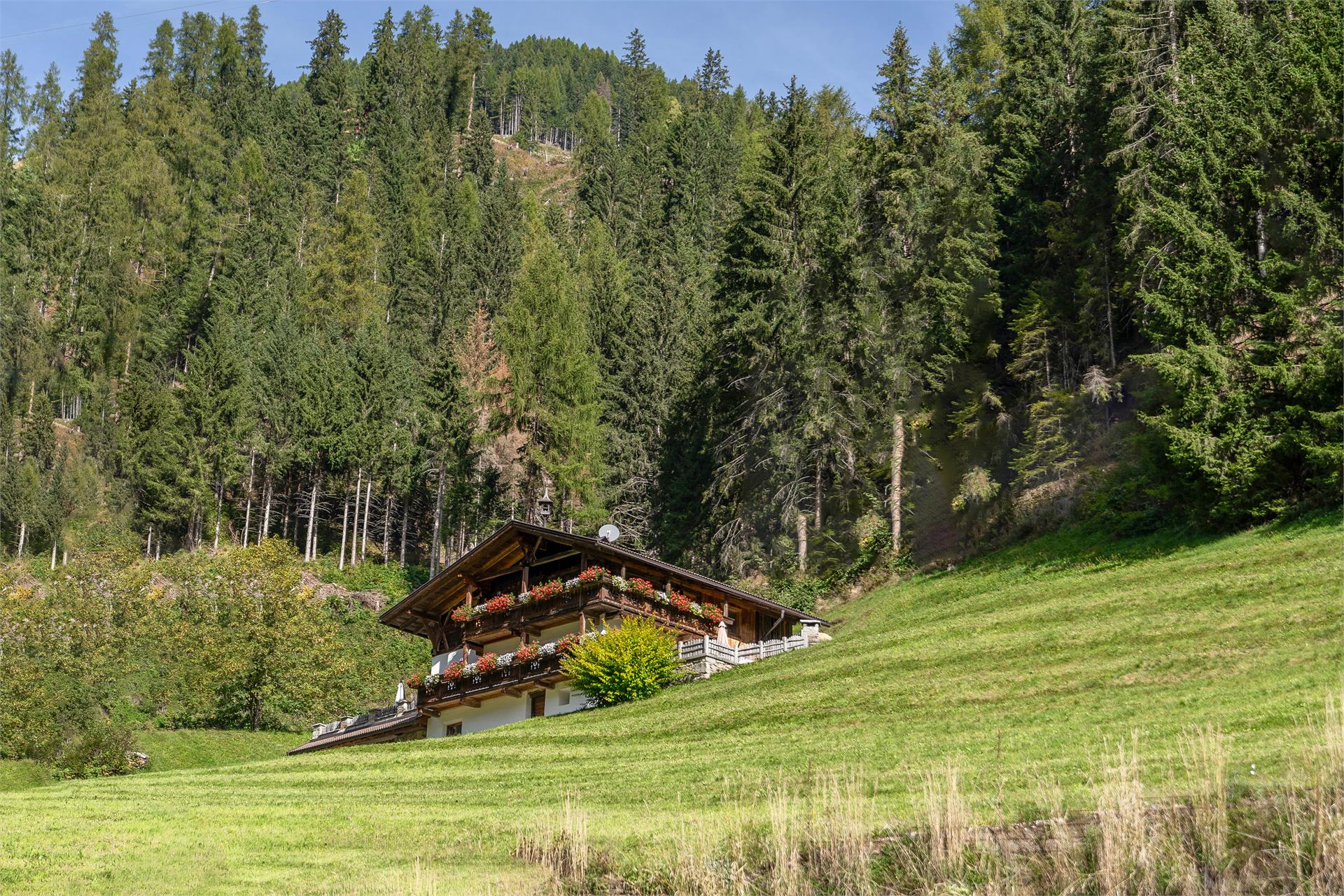 Grossgasteigerhof Mühlwald/Selva dei Molini 7 suedtirol.info