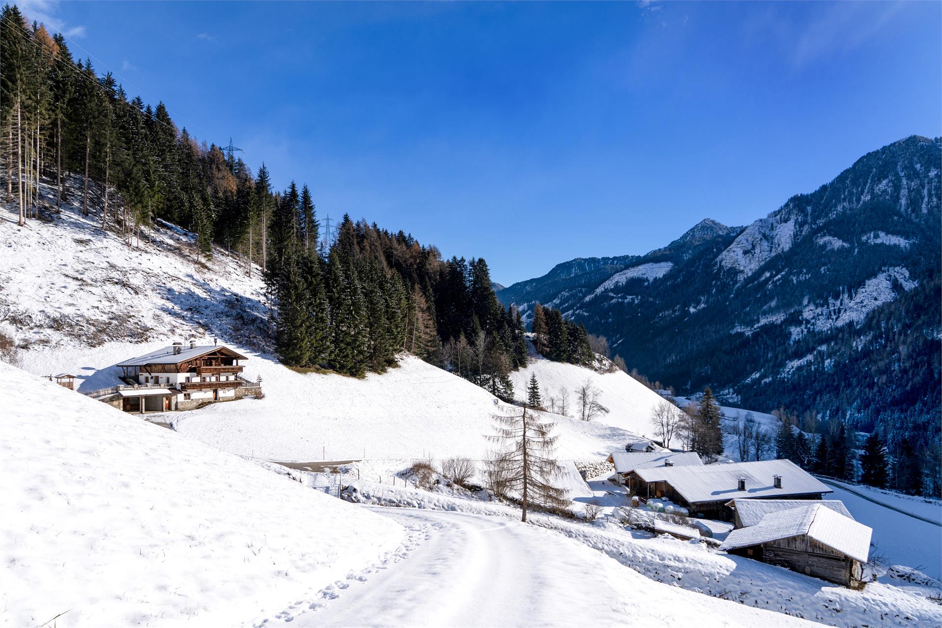 Grossgasteigerhof Mühlwald/Selva dei Molini 14 suedtirol.info