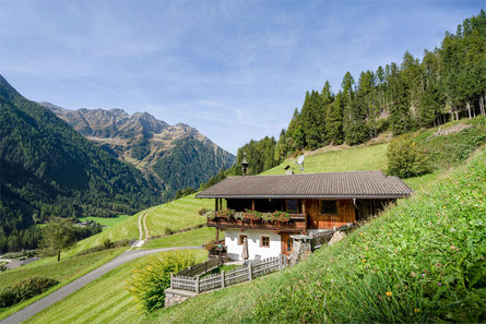 Grossgasteigerhof Mühlwald/Selva dei Molini 12 suedtirol.info