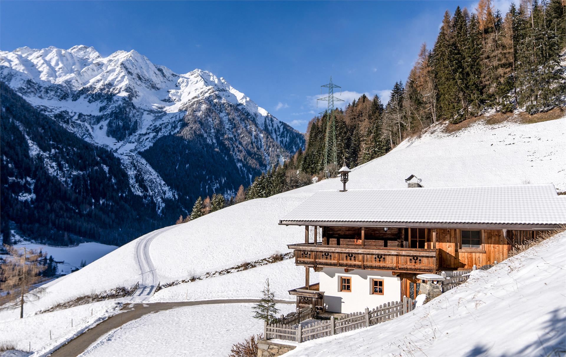 Grossgasteigerhof Mühlwald/Selva dei Molini 15 suedtirol.info