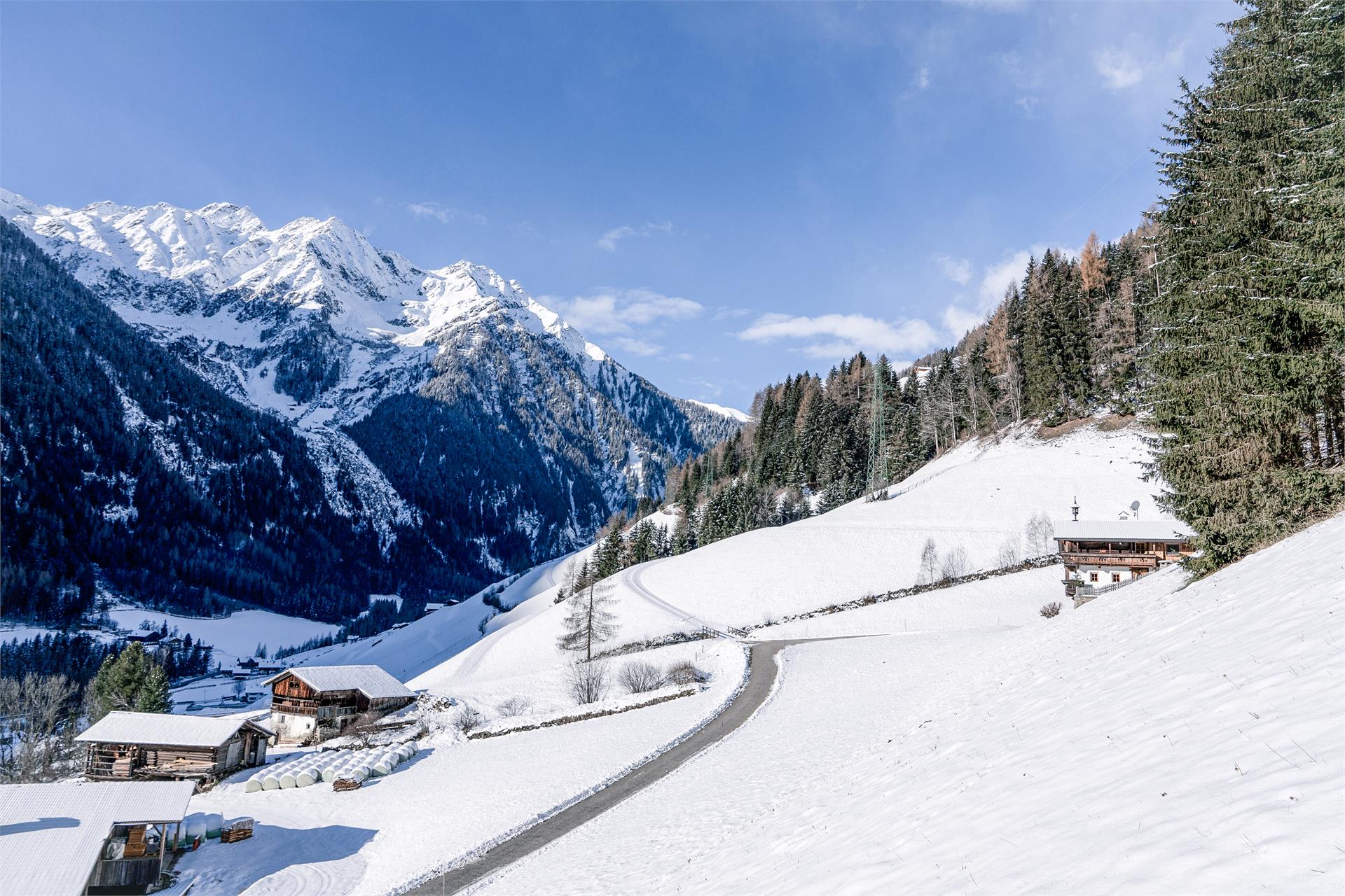 Grossgasteigerhof Mühlwald/Selva dei Molini 13 suedtirol.info